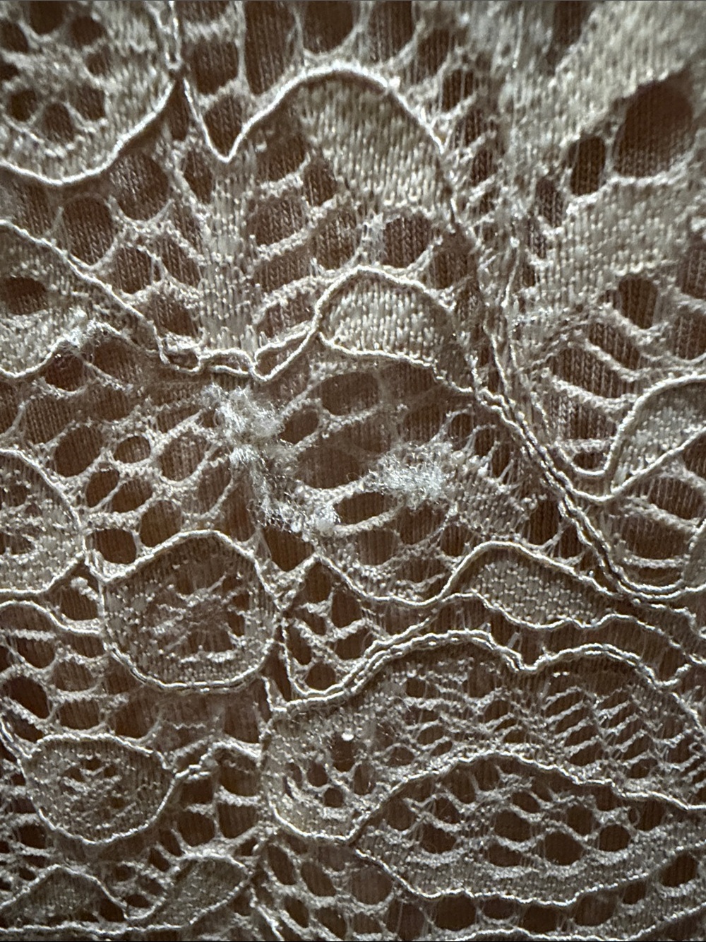 Women’s Lace Mock Neck Blouse - Taupe - Picture 5 of 5